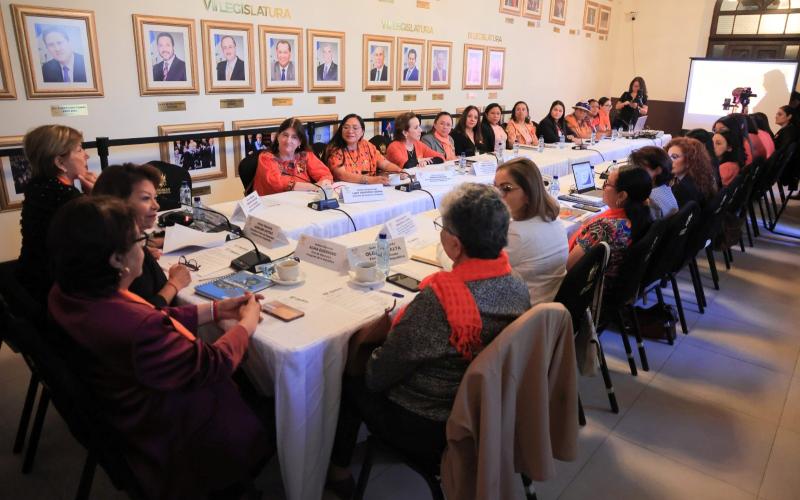  Violencia Digital contra Mujeres y Niñas