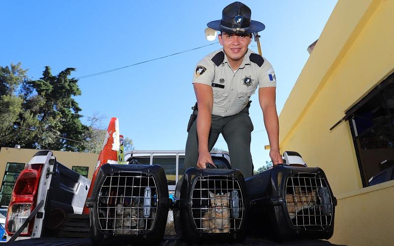 Provial impulsa el bienestar animal con apoyo de la Unidad de Bienestar Animal del MAGA