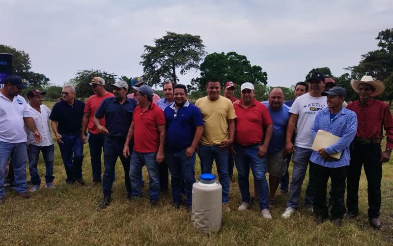Promueven el mejoramiento genético del ganado bovino en Escuintla