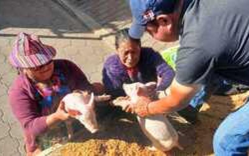 Impulsan el fortalecimiento de la producción pecuaria y acuícola en el país