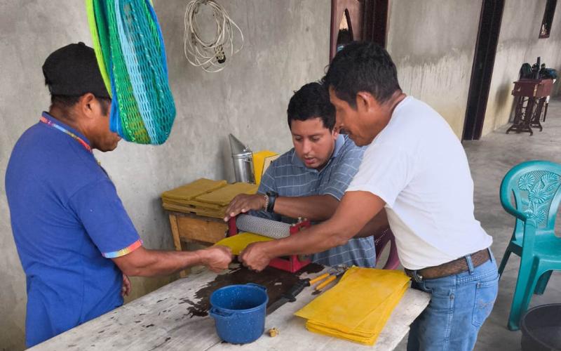 Apicultores de Sayaxché reciben asistencia técnica