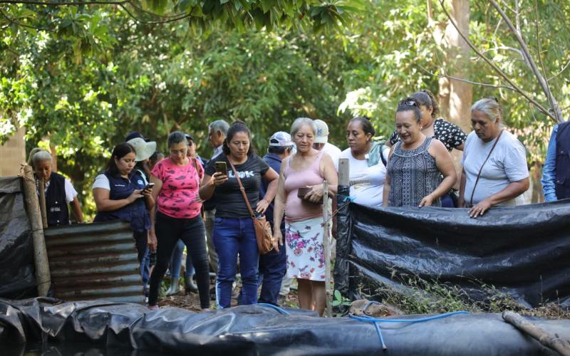 En Taxisco convierten la tilapia en oportunidad de vida y desarrollo