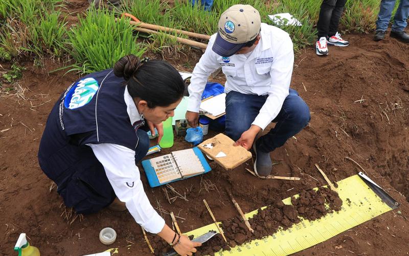 Impulsan acciones para proteger y conservar los suelos de Guatemala 