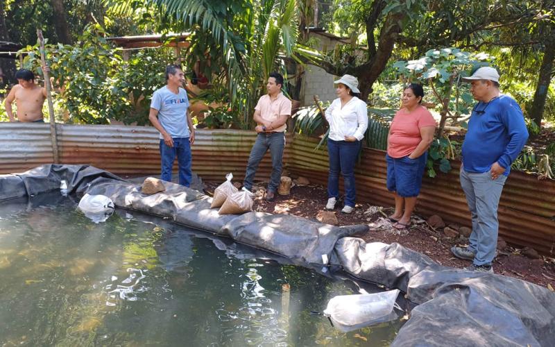 Producción de tilapia promueve la diversificación de la dieta familiar
