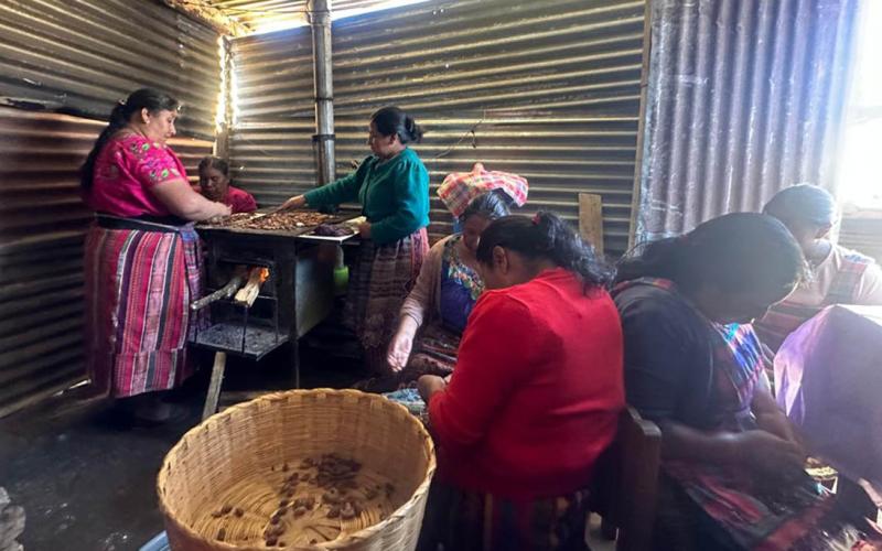 Asistencia técnica impulsa emprendimientos de cacao en Quetzaltenango
