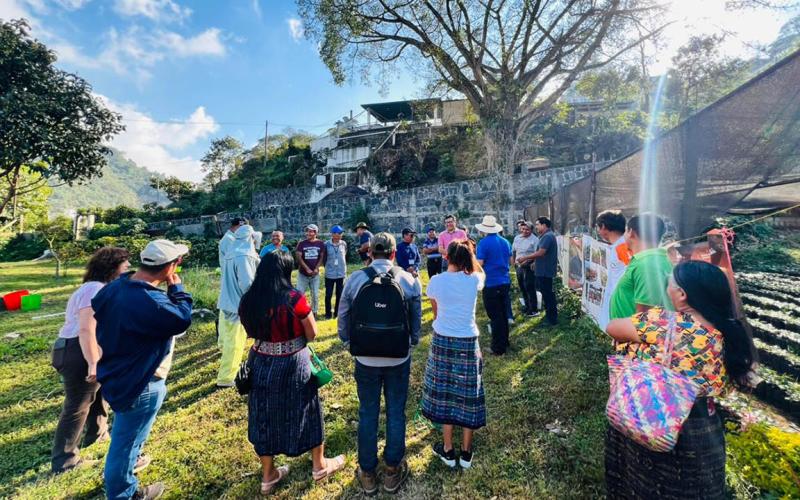 Caficultores de San Lucas Tolimán conocen la normativa europea