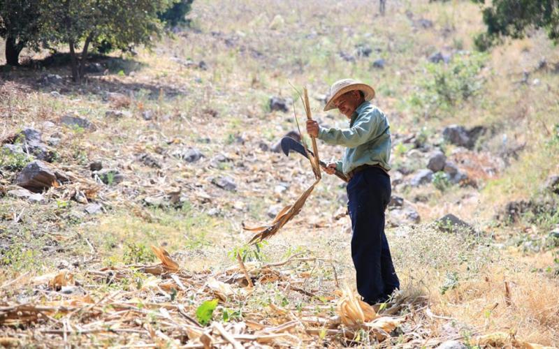 Campaña “Alto al Fuego” impulsará buenas prácticas agrícolas