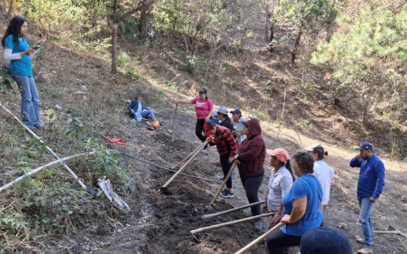 Conozca la agricultura familiar y sus componentes clave