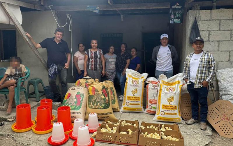 Distribuidos más 14 mil pollos de engorde en granjas de Petén