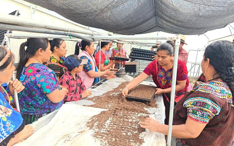 Incentivan la producción de hortalizas en comunidades rurales