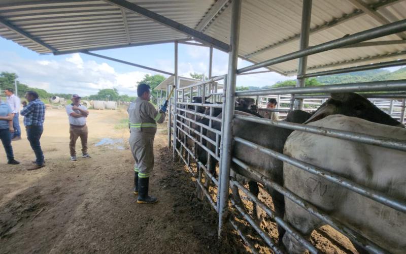 Monitorean 209 municipios ante bajas temperaturas y vientos fuertes