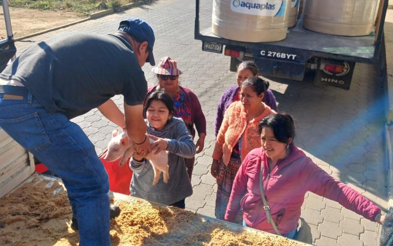 Mujeres de Olintepeque fortalecen la porcicultura familiar y la economía de sus hogares