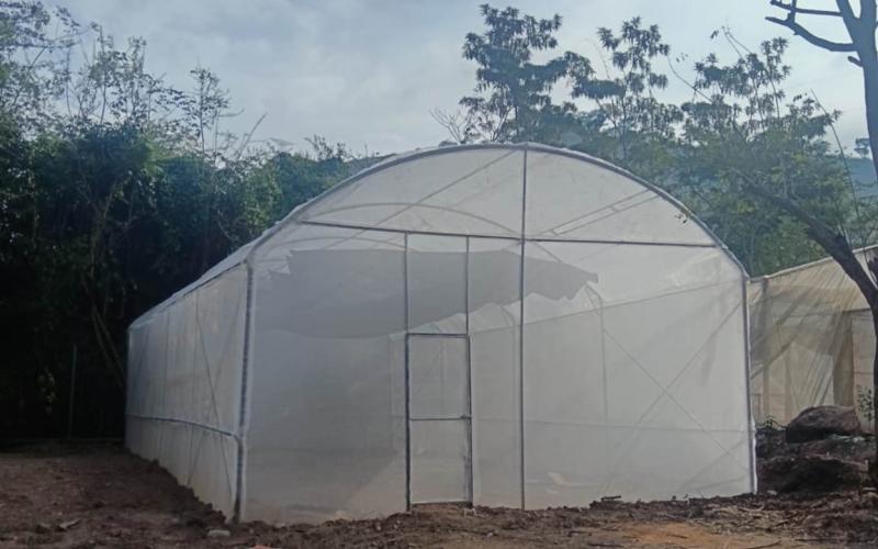 Proyecto de piloneras fortalecerá la economía local de Chiquimula