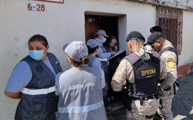 Sanciones por maltrato y crueldad animal en Guatemala 2026