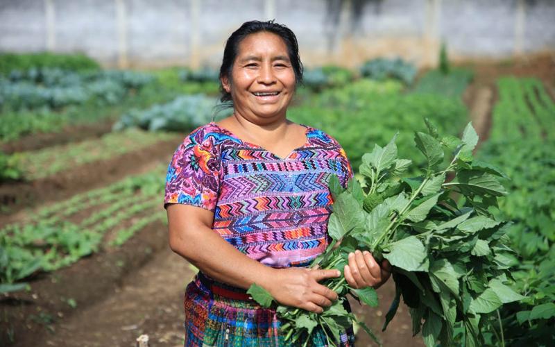 Plantas nativas: base de la agricultura familiar y la seguridad alimentaria