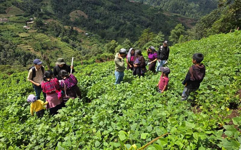 La voz del agricultor como eje de la innovación
