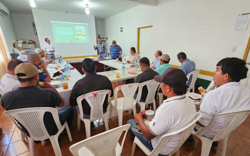 Apuestan por prácticas amigables con el medio ambiente