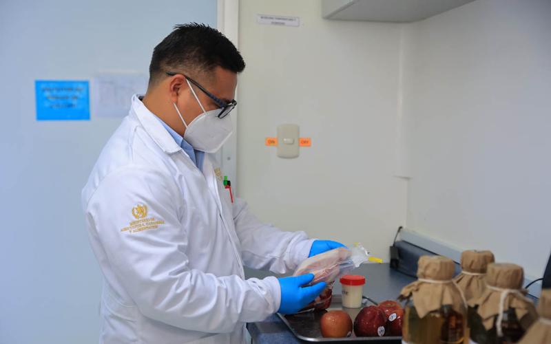 Codex Alimentarius, pilar para garantizar alimentos seguros y de calidad en Guatemala