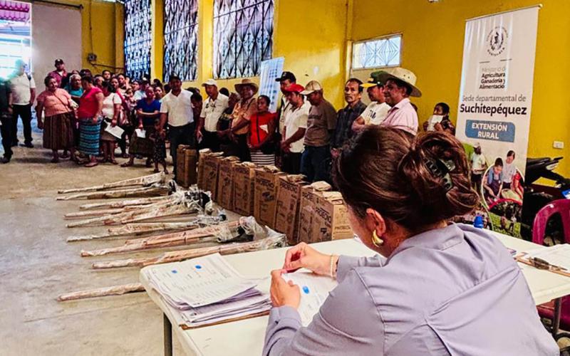 Familias agricultoras reciben apoyo para producir sus propios alimentos