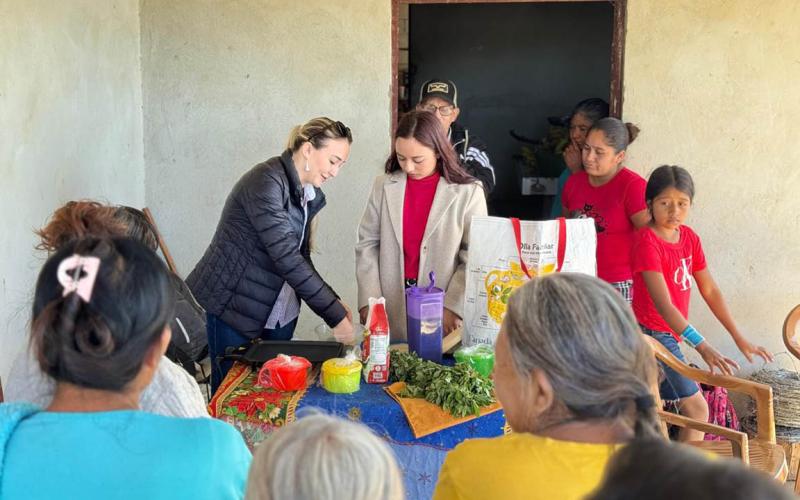 Familias de Conguaco innovan con tortillas nutritivas de plantas nativas