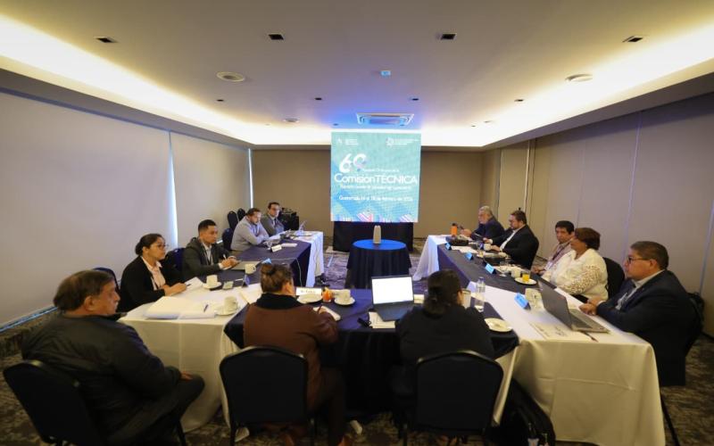 Guatemala avanza en digitalización para exportar bovinos y reducir costos sanitarios