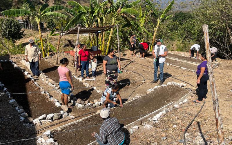 Impulsan huertos comunitarios para producir sus propios alimentos