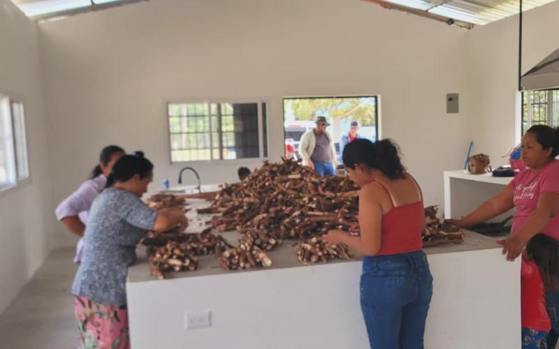 Mujeres impulsan emprendimiento con producción de yuca