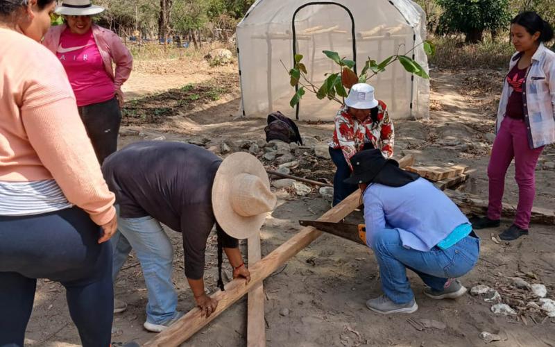 Optimizan la producción de pilones en Zacapa mediante gestión hídrica