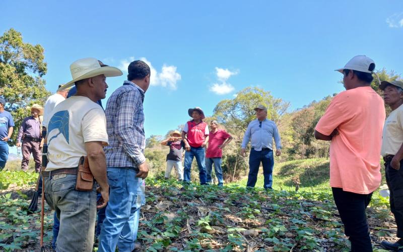 Promotores de CADER capacitados en manejo tecnificado de maíz y frijol
