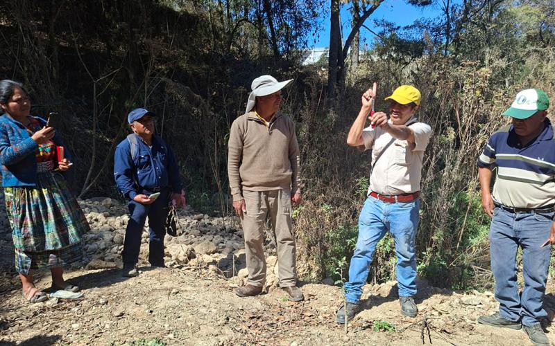 Técnicas de injerto impulsan la productividad frutícola en Cantel