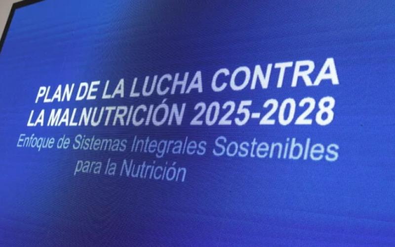 Plan de la Lucha contra la Malnutrición 2025–2028 orienta acciones integrales del Estado