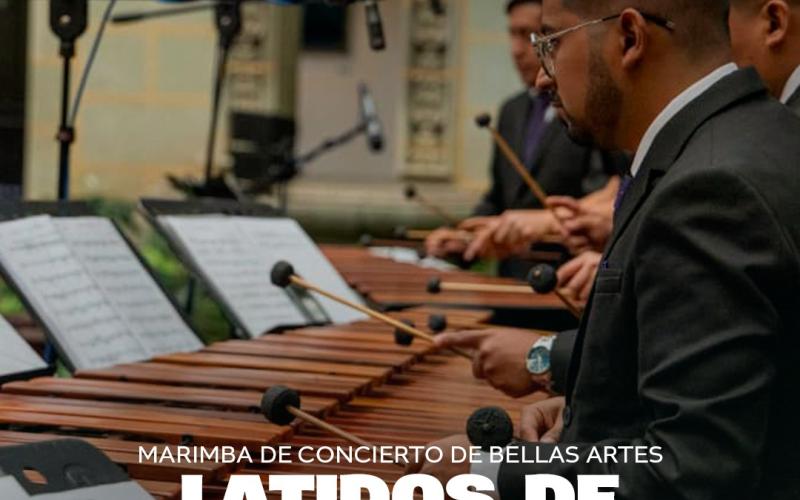 Marimba de Concierto de Bellas Artes: Latidos de Hormigo