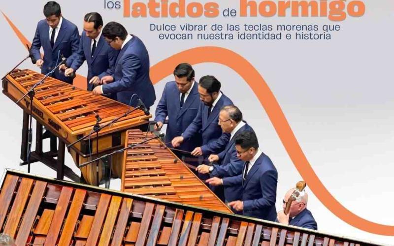 Celebramos los latidos de hormigo