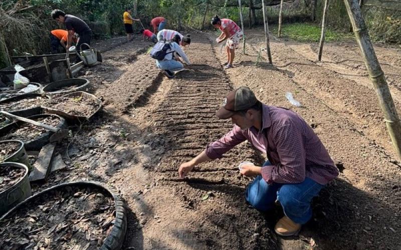 Siembra de hortalizas fortalece agricultura familiar en Esquipulas