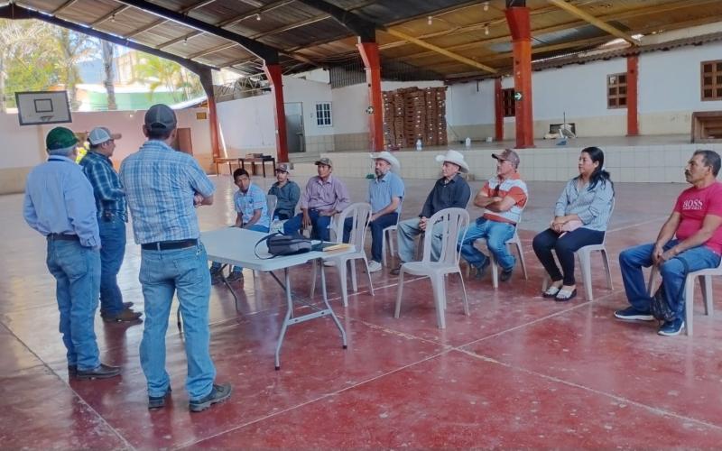 Promotores agrícolas y técnicos AMER coordinan estrategia para ciclo de granos básicos