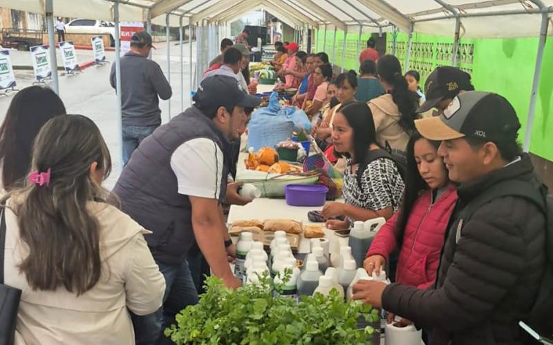 Feria del Agricultor en Alta Verapaz impulsa hortalizas de calidad