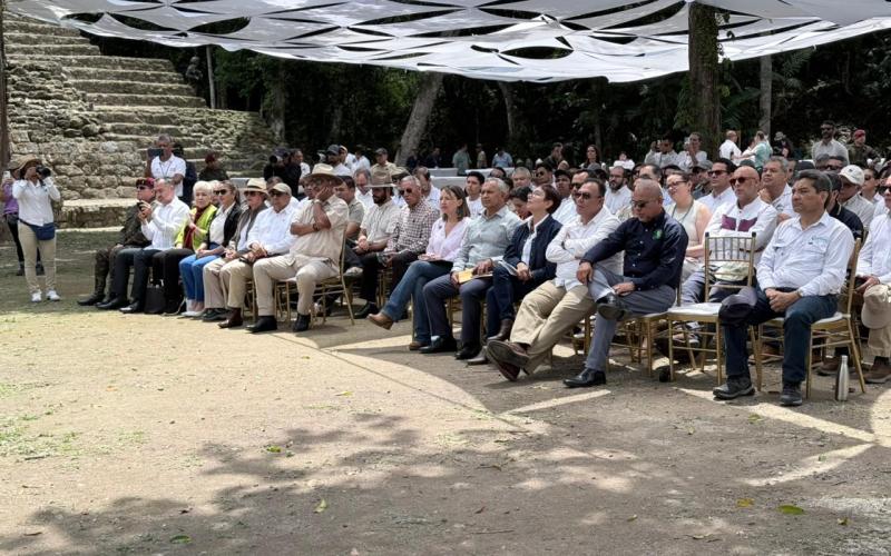 nota de prensa