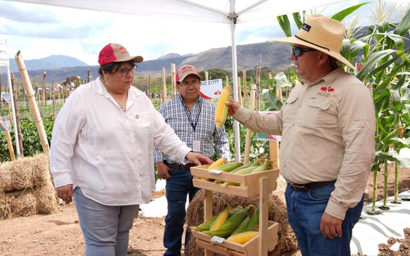 Finca experimental muestra avances en semillas mejoradas para hortalizas y frutas