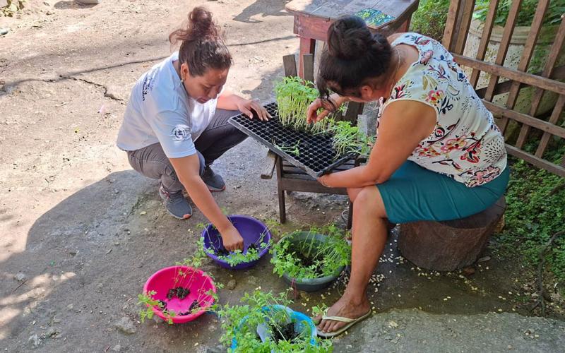 Huertos familiares fortalecen la producción y el autoconsumo en San Andrés