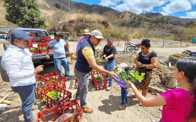 Huertos familiares impulsan producción de alimentos en Sansare