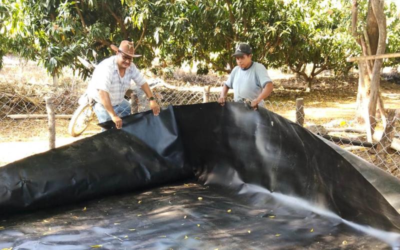 Impulsan en Zacapa la producción de peces con tecnología de geomembranas
