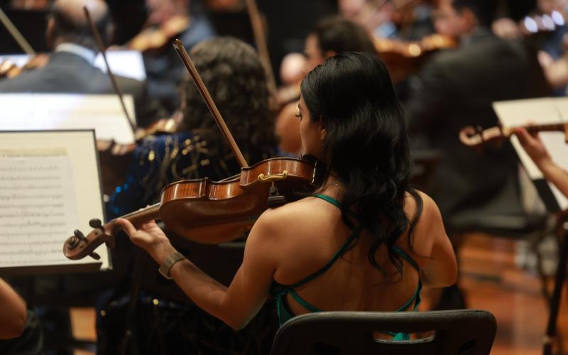 Camerata