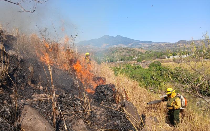 INCENDIO PASTIZAL