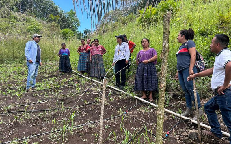 Trabajo conjunto fortalece huertos de familias de San Luis