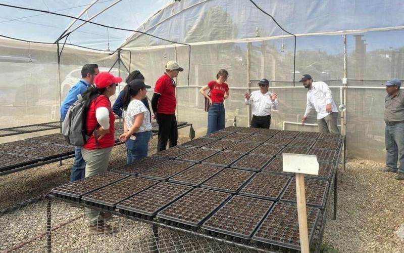 Promueven el empoderamiento y derechos de la mujer en municipios de Jalapa