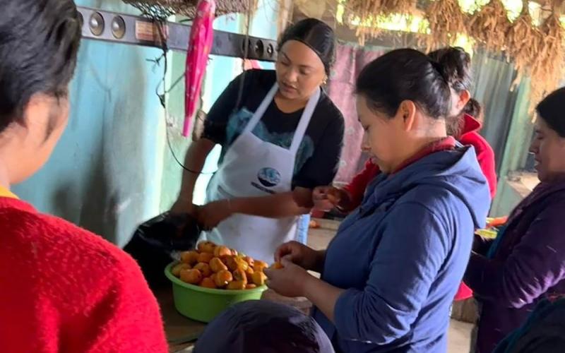 Taller de transformación promueve valor agregado del mango