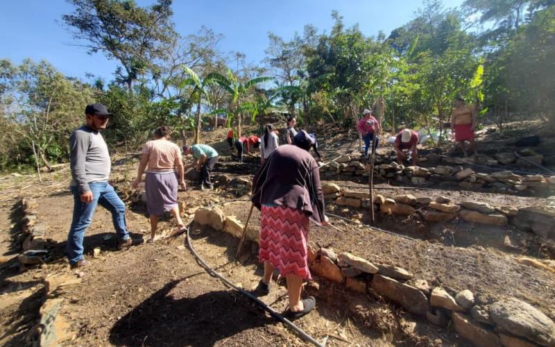 Familias de Baja Verapaz tecnifican su producción de patio