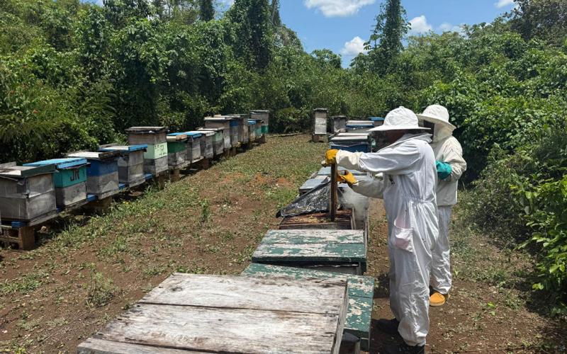 Acuerdo establece nuevo modelo de control sanitario para alimentos no procesados