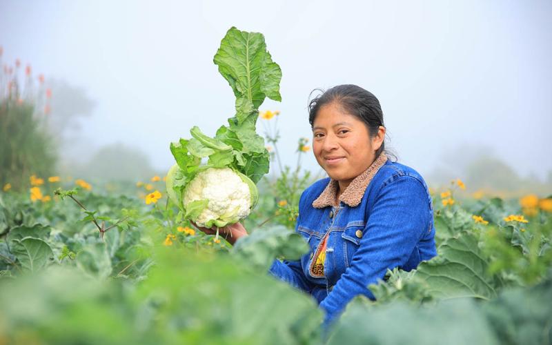 Cuidar la tierra es cuidar la vida