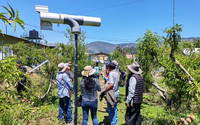 Fruticultores de Tejutla fortalecen conocimientos en el manejo de cultivos deciduos